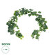 Artificial Garden BALTIC IVY GARLAND 21147 Τεχνητή Διακοσμητική Γυρλάντα Βαλτικής Φ20 x Υ200cm Σετ 2 τεμαχίων - 1