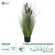 Artificial Garden TYPHA ANGUSTIFOLIA GRASS 20069 Τεχνητό Διακοσμητικό Φυτό Γρασίδι της Τύφας Υ90cm