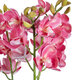 Artificial Garden PINK CHERRY CYMBIDIUM 21402 Διακοσμητικό Φυτό Φούξια Κυμβίδιο Υ60cm - 3