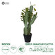 Artificial Garden CEREUS JAMACARU CACTUS 20102 Τεχνητό Διακοσμητικό Φυτό Κάκτος Κηρίος Υ62cm