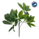 SCHEFFLERA 78222 Τεχνητό Φυτό Σεφλέρα - Μπουκέτο Διακοσμητικών Φυτών - Κλαδιών με Φύλλωμα Πράσινο Υ30cm - 1