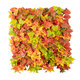 Artificial Garden AUTUMN MAPLE 20349 Τεχνητό Διακοσμητικό Πάνελ Φυλλωσιάς - Κάθετος Κήπος σύνθεση Φθινοπωρινός Σφένδαμος Μ50 x Π50 x Υ10cm - 2