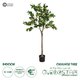 Artificial Garden ORANGE TREE 21109 Τεχνητό Διακοσμητικό Δέντρο Πορτοκαλιά Μ90 x Π70 x Υ160cm - 1