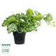 Artificial Garden BEGONIA PLANT 20958 Διακοσμητικό Φυτό Βιγόνια Φ47 x Υ22cm - 1