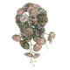 Artificial Garden POLKA HANGING PLANT 20612 Τεχνητό Διακοσμητικό Κρεμαστό Φυτό Πόλκα Υ45cm