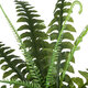 78257 Τεχνητό Φυτό Μπουκέτο Διακοσμητικών Κλαδιών με Πράσινο Φύλλωμα Φτέρη της Βοστώνης Μ60 x Π60 x Υ40cm