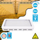 85953 Grow Light Hydro Full Spectrum LED Φωτιστικό Ανάπτυξης Φυτών Υδροπονικού Θερμοκηπίου SMD 2835 2000W 160° AC230V IP54 Εσωτερικού Χώρου για Κάλυψη Επιφάνειας 3m x 3m Πλήρους Φάσματος Φωτισμού - 1