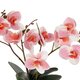 Artificial Garden PINK ORCHID 21075 Διακοσμητικό Φυτό Ροζ Ορχιδέα  Υ30cm - 3