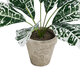 Artificial Garden WHITE AGLAONEMA POTTED PLANT 20903 Διακοσμητικό Φυτό Λευκό Αγλαόνημα Φ40 x Υ33cm - 4