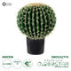 Artificial Garden FEROCACTUS 20191 Τεχνητό Διακοσμητικό Φυτό Φερόκακτος Υ50cm - 1