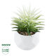 Artificial Garden SUCCULENT SENECIO 20997 Διακοσμητικό Φυτό Παχύφυτο Σενέκιο Υ12cm
