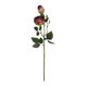 Artificial Garden RED DAMASK CLIMBING ROSE BRANCH 21197 Τεχνητό Διακοσμητικό Κλαδί Τριαντάφυλλο Κόκκινο Y55cm - 2