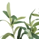 Artificial Garden OLIVE TREE BRANCH 20233 Τεχνητό Διακοσμητικό Κλαδί Ελιάς Π30 x Υ95cm - 3