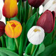 Artificial Garden TULIP BOUQUET 20256 Τεχνητό Διακοσμητικό Μπουκέτο με Τουλίπες Υ42cm - 4