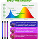 85957 Grow Light Full Spectrum LED Φωτιστικό Ανάπτυξης Φυτών Γλάστρας με 4 Κινούμενες Κεφαλές & Βάση Μανταλάκι Clip SMD 2835 80W 160° AC230V IP54 με Dimmer & Timer Εσωτερικού Χώρου για Κάλυψη Επιφάνειας 1m x 1m Πλήρους Φάσματος Φωτισμού - 10