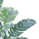 Artificial Garden BANANA ZEBRA 20930 Διακοσμητικό Φυτό Μπανανιά Ζέβρα Υ55cm - 3