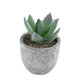 Artificial Garden SUCCULENT ALOE 21026 Διακοσμητικό Φυτό Παχύφυτο Αλόη Υ10.5cm - 2