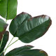 Artificial Garden OLD BANANA 20917 Διακοσμητικό Φυτό Ώριμη Μπανανιά Υ80cm - 3