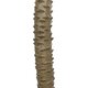 Artificial Garden WASHINGTONIA FILIFERA TREE 21107 Τεχνητό Διακοσμητικό Φοινικόδεντρου Υ200cm - 4