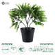 Artificial Garden EUCALYPTUS 20392 Τεχνητό Διακοσμητικό Φυτό Ευκάλυπτος Υ30cm