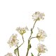 Artificial Garden WHITE CHERRY BLOSSOM BRANCH 21320 Τεχνητό Διακοσμητικό Λευκό Κλαδί Κερασίας Y88cm - 3