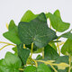 CANARIAN IVY 78232 Τεχνητό Φυτό Κισσός Καναρίων - Μπουκέτο Διακοσμητικών Φυτών - Κλαδιών με Φύλλωμα Πράσινο Υ25cm - 2