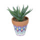 Artificial Garden SUCCULENT ALOE POTTED PLANT 21053 Διακοσμητικό Φυτό Αλόη  Φ15 x Υ19cm - 2