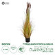 Artificial Garden TYPHA ANGUSTIFOLIA GRASS 20114 Τεχνητό Διακοσμητικό Φυτό Γρασίδι της Τύφας Υ150cm - 1