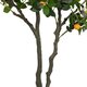 ® Artificial Garden ORANGE TREE 21110 Τεχνητό Διακοσμητικό Δέντρο Πορτοκαλιά Μ110 x Π80 x Υ200cm - 3