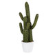 Artificial Garden CARNEGIEA CACTUS 20100 Τεχνητό Διακοσμητικό Φυτό Κάκτος Σαγκουάρο Υ63cm - 2