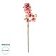 Artificial Garden CHAMPAGNE PINK ORCHID  BRANCH 21411 Τεχνητό Διακοσμητικό Κλαδί Σαμπανί Ορχιδέα Y70cm