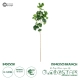 Artificial Garden GINKGO BRANCH 20259 Τεχνητό Διακοσμητικό Κλαδί Γκίγκο Π22 x Υ80cm