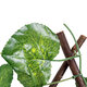 Artificial Garden NASTURTIUM 78498 Πτυσσόμενη Πέργκολα Τεχνητής Φυλλωσιάς - Κάθετος Κήπος Σύνθεση Ινδοκάρδαμο Μ110 x Π10 x Υ120cm (min) Μ310 x Π10 x Υ45cm (max) - 5