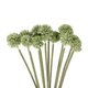 Artificial Garden PALE GREEN DANDELION BOUQET 21362 Τεχνητό Διακοσμητικό Ταραξάκο Μπουκέτο Y54cm - 3