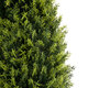 Artificial Garden CYPRESSUS SEMPERVIRENS 20396 Τεχνητό Διακοσμητικό Φυτό Μεσογειακό Κυπαρίσσι Υ180cm
