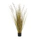 Artificial Garden CRASPEDIA GRASS 21480 Τεχνητό Διακοσμητικό Φυτό Μπεζ & Πράσινο Κρασπέδια Μ90 x Π60 x Υ175cm - 2