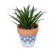 Artificial Garden SUCCULENT SANSEVIERIA POTTED PLANT 21047 Διακοσμητικό Φυτό Σανσεβιέρια  Φ16x Υ20cm - 2