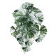 Artificial Garden ALBINO MONSTERA HANGING PLANT 20609 Τεχνητό Διακοσμητικό Κρεμαστό Φυτό Μονστέρα Υ45cm