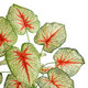 Artificial Garden CALADIUM 20932 Διακοσμητικό Φυτό Καλάντιουμ Υ55cm - 3