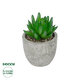 Artificial Garden SUCCULENT SEDEVERIA POTTED PLANT 21019 Διακοσμητικό Φυτό Σεδεβέρια  Φ6,5 x Υ9cm - 1