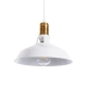 ANER 01072 Vintage Κρεμαστό Φωτιστικό Οροφής με Ντουί 1 x E27 AC 220-240V IP20 - Λευκό & Χρυσό - Μ27.5 x Π27.5 x Υ19cm - 11