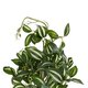 Artificial Garden ZEBRINA PLANT 20960 Διακοσμητικό Φυτό Ζεμπρίνα Φ45 x Υ22cm - 4