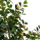 ® Artificial Garden ORANGE TREE 21110 Τεχνητό Διακοσμητικό Δέντρο Πορτοκαλιά Μ110 x Π80 x Υ200cm - 2