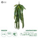 Artificial Garden FERN HANGING BRANCH 20247 Τεχνητό Διακοσμητικό Κρεμαστό Φυτό Φτέρη Υ120cm