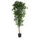 Artificial Garden FICUS BENJAMINA TREE 20417 Τεχνητό Διακοσμητικό Φυτό Φίκος Μπενζαμίνη Υ210cm