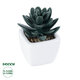 Artificial Garden SUCCULENT SEDEVERIA 20977 Διακοσμητικό Φυτό Παχύφυτο Σεντεβέρια Υ9cm