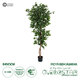 Artificial Garden FICUS BENJAMINA TREE 20416 Τεχνητό Διακοσμητικό Φυτό Φίκος Μπενζαμίνη Υ180cm
