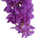 Artificial Garden BOUGAUVILLEA BRANCH 20661 Τεχνητό Διακοσμητικό Κλαδί Μπουκανβίλιας Μωβ Y80cm - 3