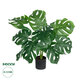 Artificial Garden MONSTERA 20934 Διακοσμητικό Φυτό Μονστέρα Υ55cm