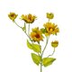 Artificial Garden YELLOW SUNFLOWER BRANCH 21379 Τεχνητό Διακοσμητικό Κλαδί Ηλιοτρόπιο Κίτρινο Y72cm - 3